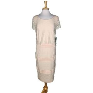 Sangria Lace Striped Pale Pink Dress Size 24W NWT
